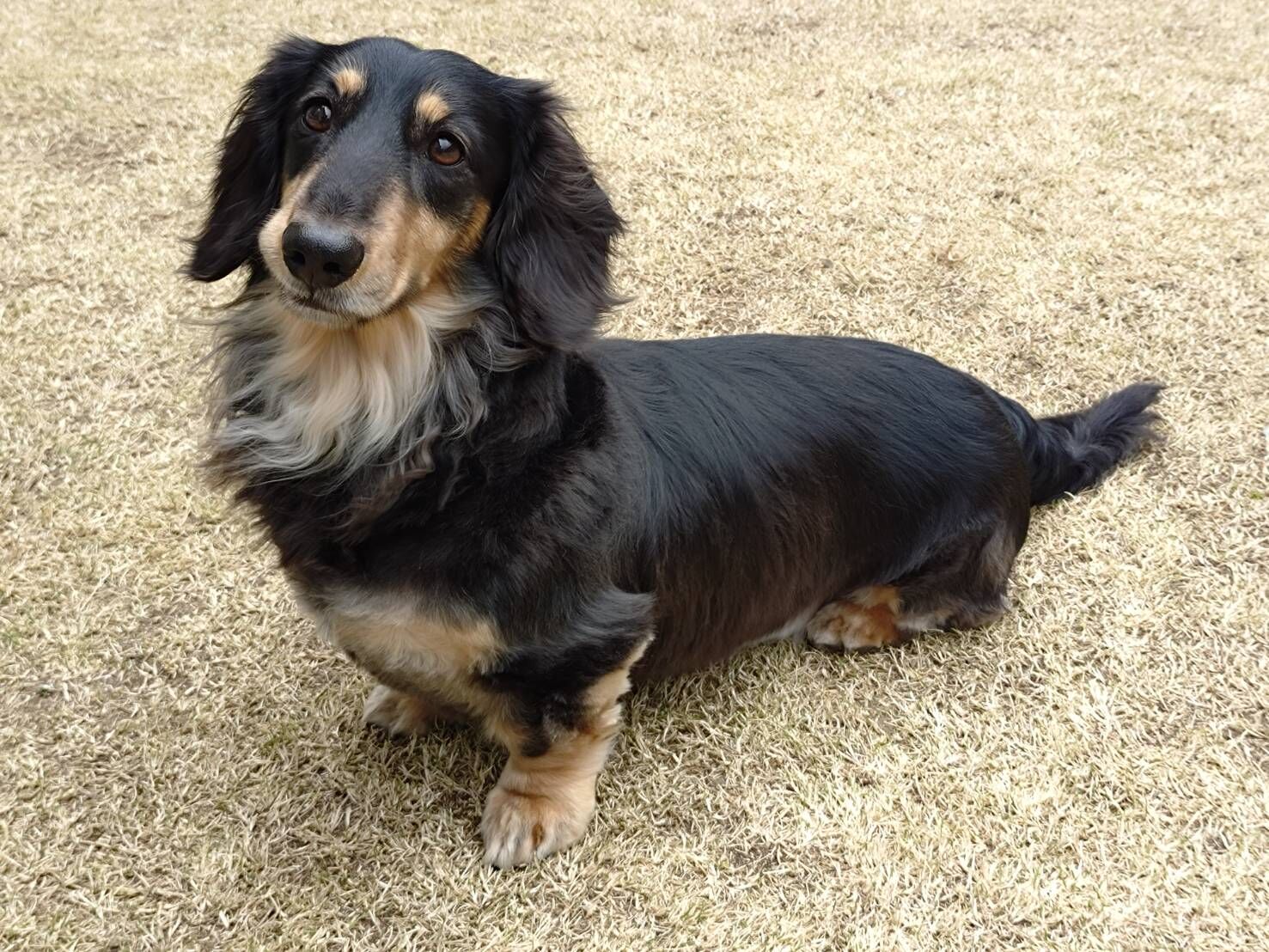 ブログ